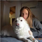 Studentessa liceo scientifico offre lezioni in matematica e fisica